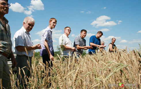 Российские аграрии получат компенсацию в 19 миллиардов рублей