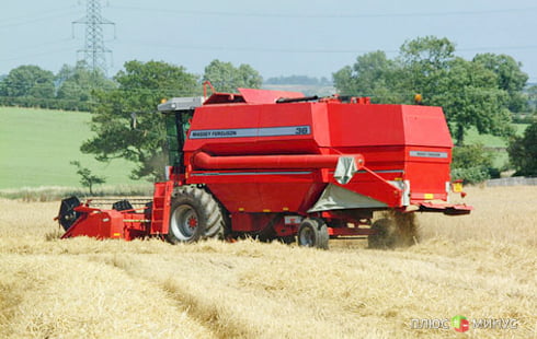 Россия собрала лишь 70 млн тонн зерновых