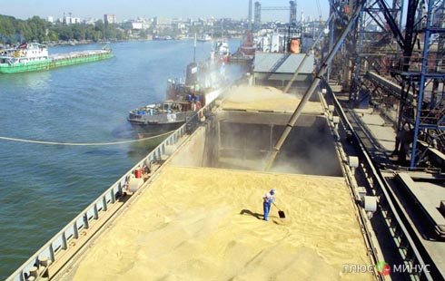 Индия поставит 3 млн тонн пшеницы в Иран