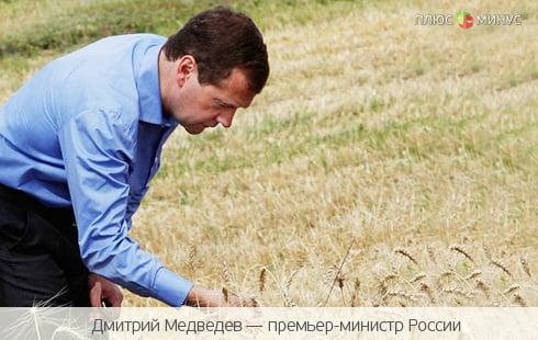 Медведев снизит цены на зерно