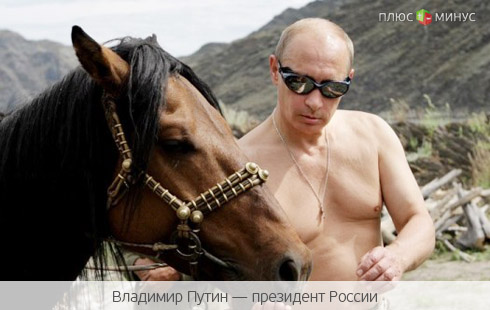 Мачо Путин превратится в умудренного патриарха Мачо Путин превратится в умудренного патриарха