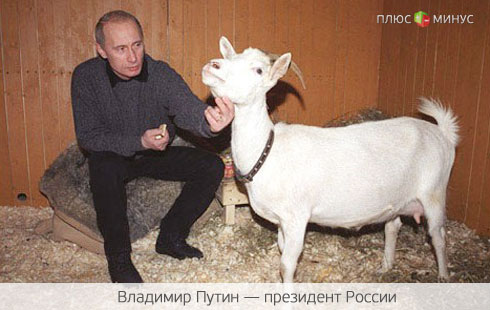 «Made in Кремль»