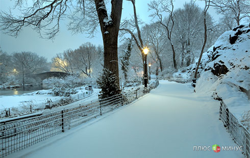 Возможные холода в Америке вызывают волнения на рынках