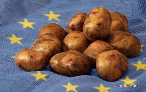 Россия и Беларусь отказались от опасного картофеля из Европы