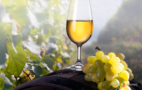 Евросоюз отказывается пить крымское вино