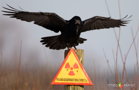 «Чернобыльский заповедник»: ЕС займется городом-призраком