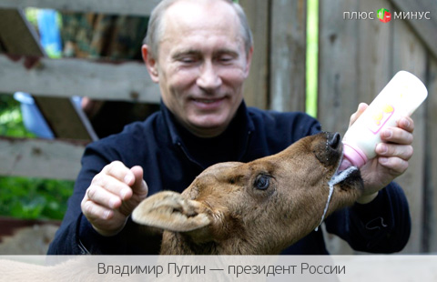 России хватает молока, или Почему Россельхознадзор запретил молочную продукцию из Украины?