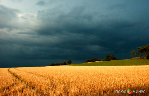 «Тучи сгущаются»: В Украине стремительно падает промпроизводство и урожай