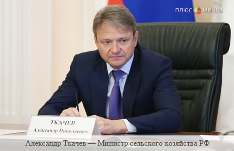 Ткачев: есть очень большой потенциал для увеличения экспорта сельхозпродукции на внешние рынки