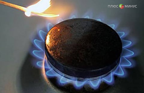 МЭР предложил пересмотреть тарифы на газ 