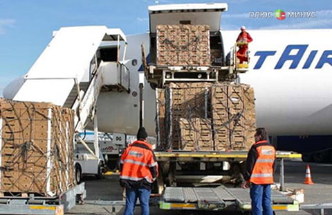 Россия возобновила грузовое авиасообщение с Египтом