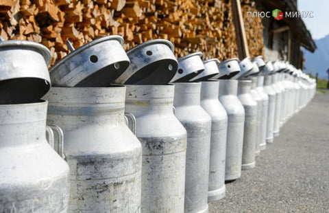 Иран выйдет на молочный рынок России во второй половине января