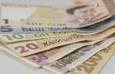 ЦБ Киргизии для поддержания нацвалюты продал в этом месяце $54,75 млн